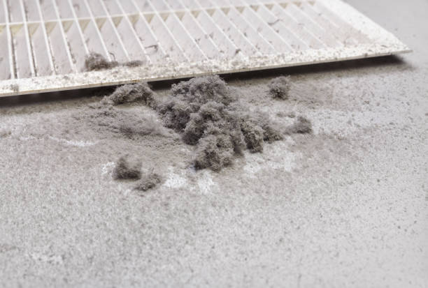 Best Commercial Air Duct Cleaning  in Country Homes, WA