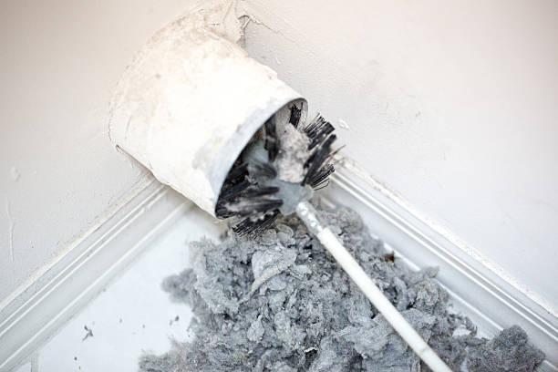 Best Air Duct Mold Removal  in Country Homes, WA